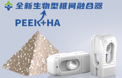 康盛全新生物型椎间融合器